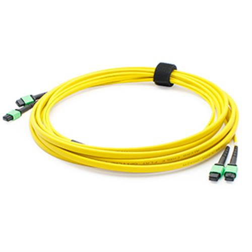 Picture for category 25m MPO (Female) to MPO (Female) 24-Strand Yellow OS2 Straight OFNR (Riser-Rated) Fiber Trunk Cable