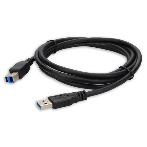 Picture of 6ft USB 3.0 (A) Male to USB 3.0 (B) Male Black Cable