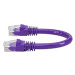 Picture of 6in RJ-45 (Male) to RJ-45 (Male) Cat6 Straight Purple UTP Copper PVC Patch Cable