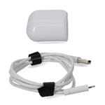Picture of 1m USB 2.0 (A) Male to Lightning Male 5V at 2.4A White Cable with wall charger