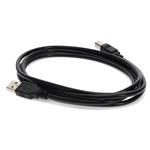 Picture of 5PK 10ft USB 2.0 (A) Male to USB 2.0 (B) Male Black Cables